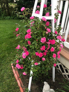 Meet your Posher, Vonda